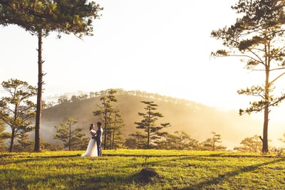 新郎和新娘站在绿色草地而拥抱和山和树木在白天的距离

